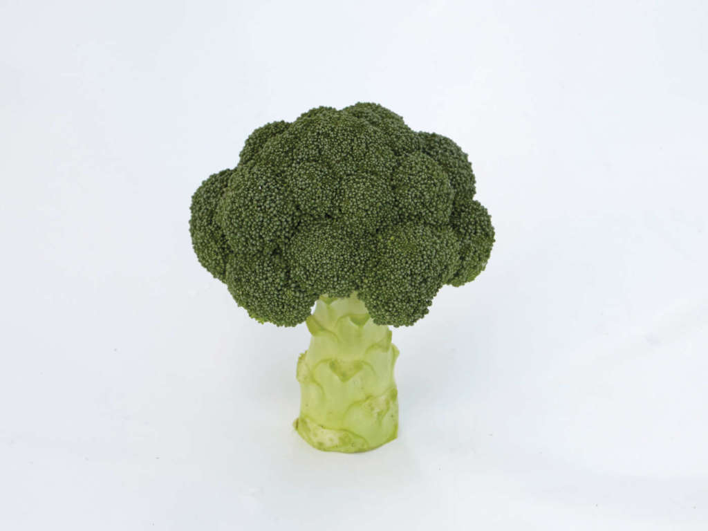 La nuova cultivar di broccolo Gongga, sviluppata da Syngenta