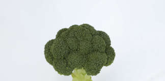 La nuova cultivar di broccolo Gongga, sviluppata da Syngenta