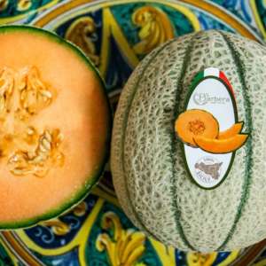 Melone retato Barbera