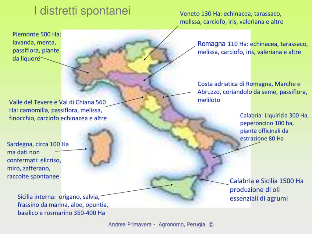 La produzione italiana di spezie ed erbe e i distretti