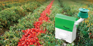 Trapview applicata alla coltivazione di pomodoro da industria