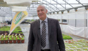 Angelo Crucitti, direttore commerciale Italia di Cora Seeds