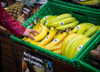Banane certificate Fair Trade nella gdo
