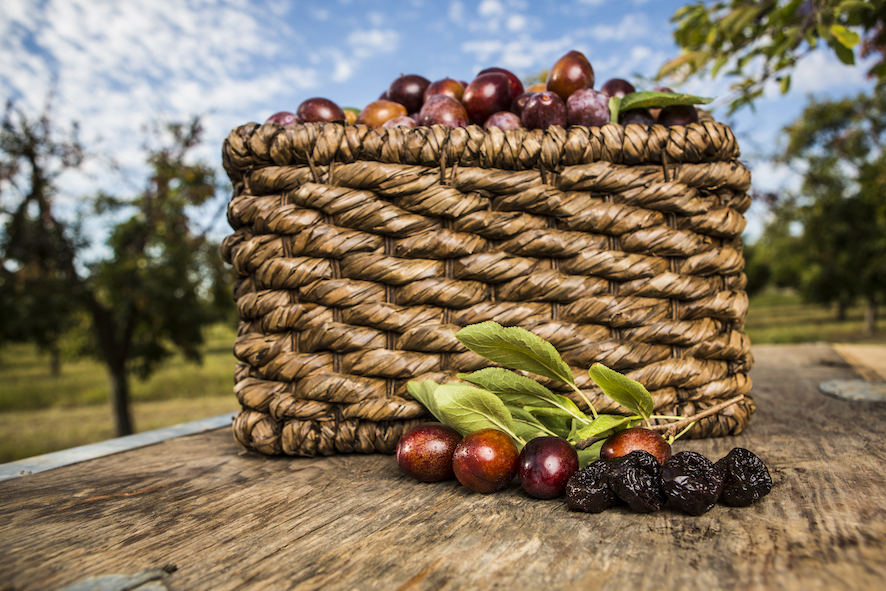 La California è il più grande produttore mondiale di prugne secche con frutteti in 14 contee