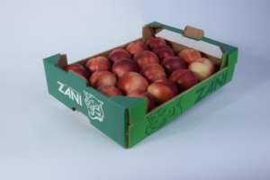 Granfrutta Zani nettarine per export