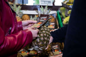 Ananas Fair Trade in gdo
