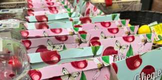 Cherrybox, il cestino per le ciliegie con il porta noccioli