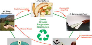 componenti elettronici scarti frutta