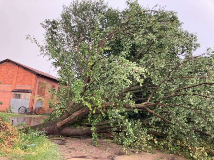 I danni portati da vento, pioggia e grandine in Valsamoggia, nel Bolognese