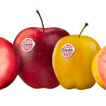 Kissabel, la mela a polpa colorata (rossa e rosa)