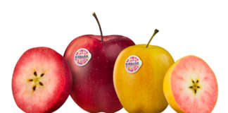 Kissabel, la mela a polpa colorata (rossa e rosa)