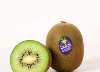 La novità Dulcis, il kiwi premium frutto di innovazione italiana
