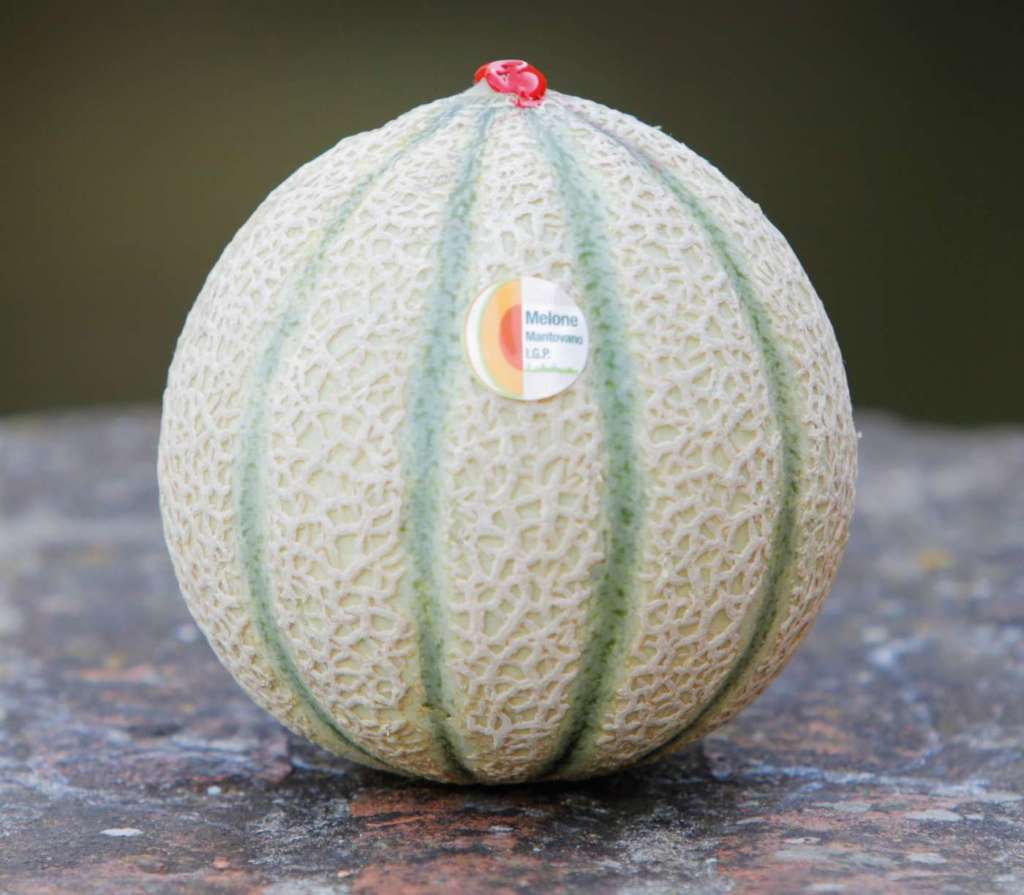 Melone Retato Mantovano a marchio Igp