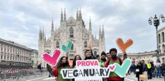 Iniziative promozionali di Veganuary a Milano