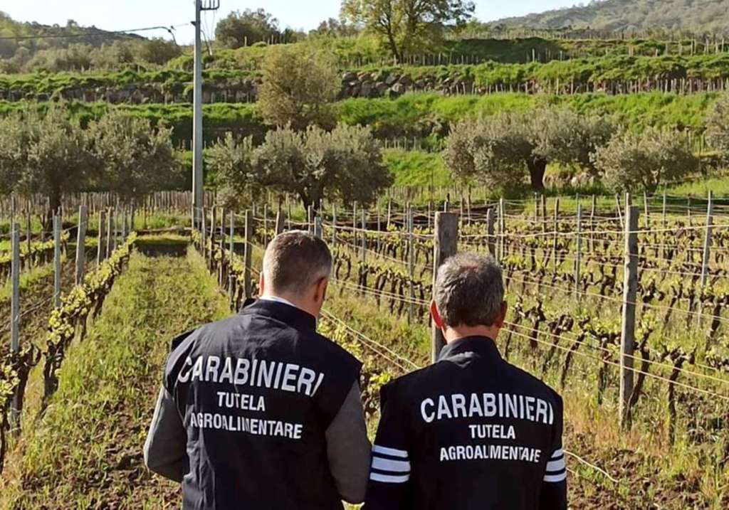 Reparto Carabinieri per la Tutela Agroalimentare di Parma