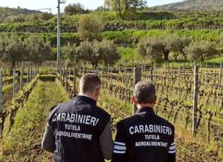 Reparto Carabinieri per la Tutela Agroalimentare di Parma