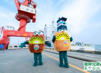 Le mascotte Zespri KiwiBrothers al porto, in Cina