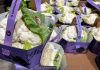 Il Cavolfiore della Piana del Sele Igp si distingue a scafale anche per il colore del packaging